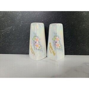 Niagara Falls Canada Souvenir Salt And Pepper Shakers Vintage